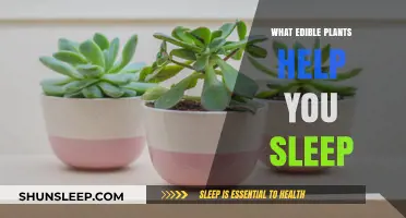 Natural Sleep Aids: Edible Plants to Promote Restful Nights
