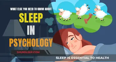 Psychology of Sleep: What You Need to Know