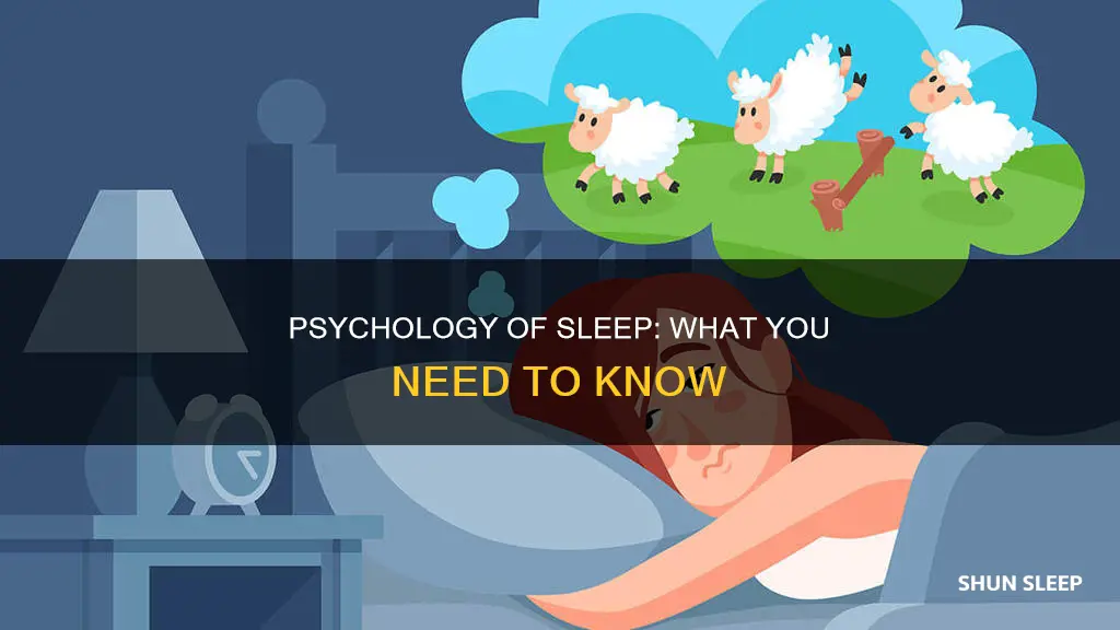 what else you need to know about sleep in psychology