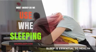 The Energy We Use While Sleeping