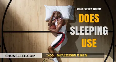 The Energy Cost of Sleep: What's the Price?