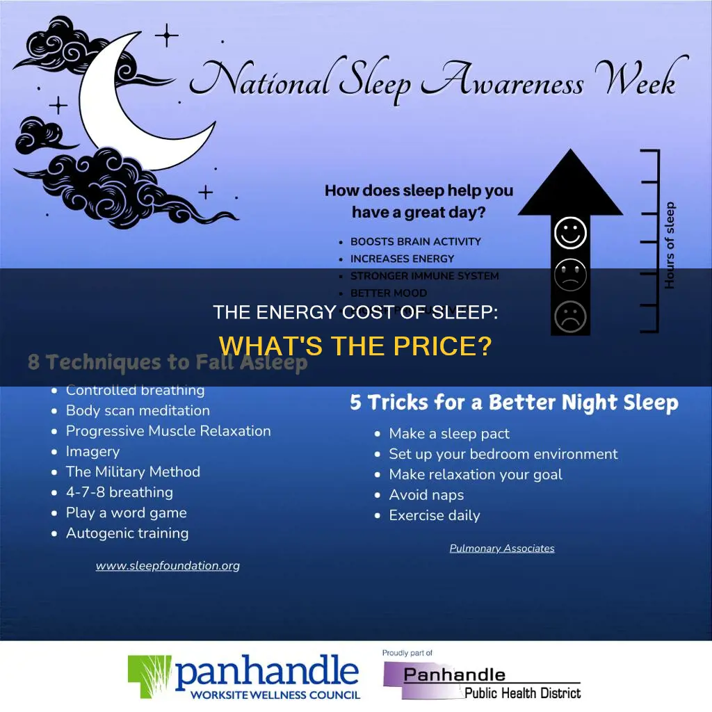 what energy system does sleeping use