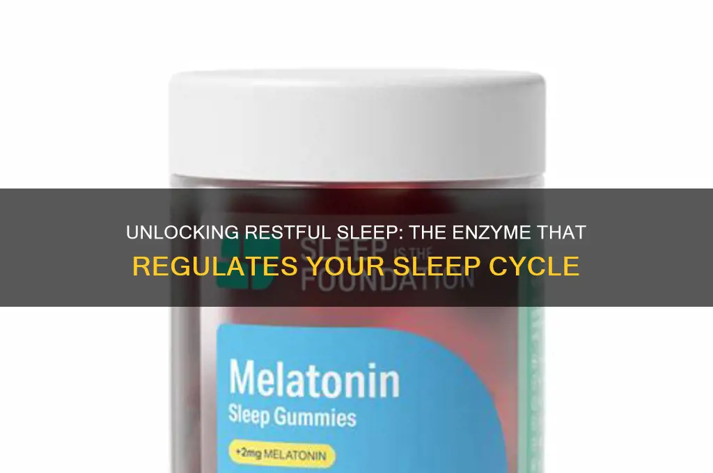 what enzyme is it that helps you sleep