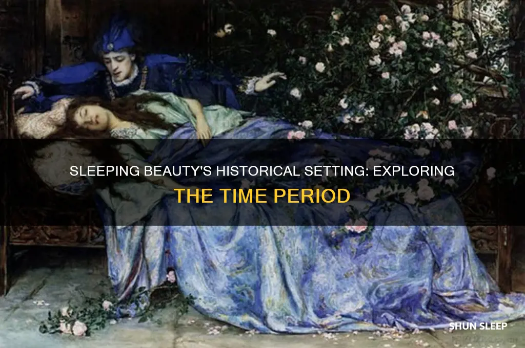 what era did sleeping beauty take place