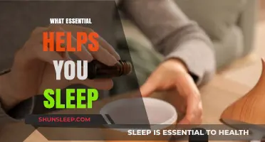 Discover the Essential Sleep Aids for Restful Nights and Energized Days
