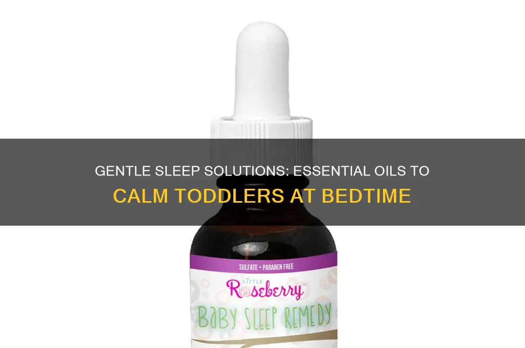 what essential oils can help a toddler sleep