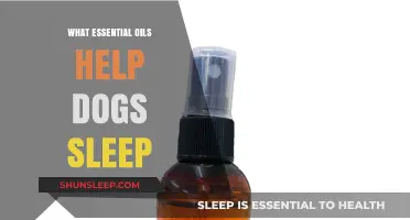 Calming Canine Aromatherapy: Essential Oils to Help Dogs Sleep Better