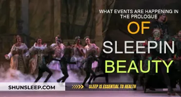 Sleeping Beauty: Events of the Prologue