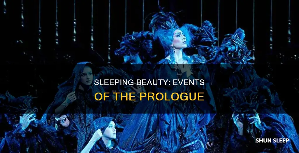 what events are happening in the prologue of sleeping beauty