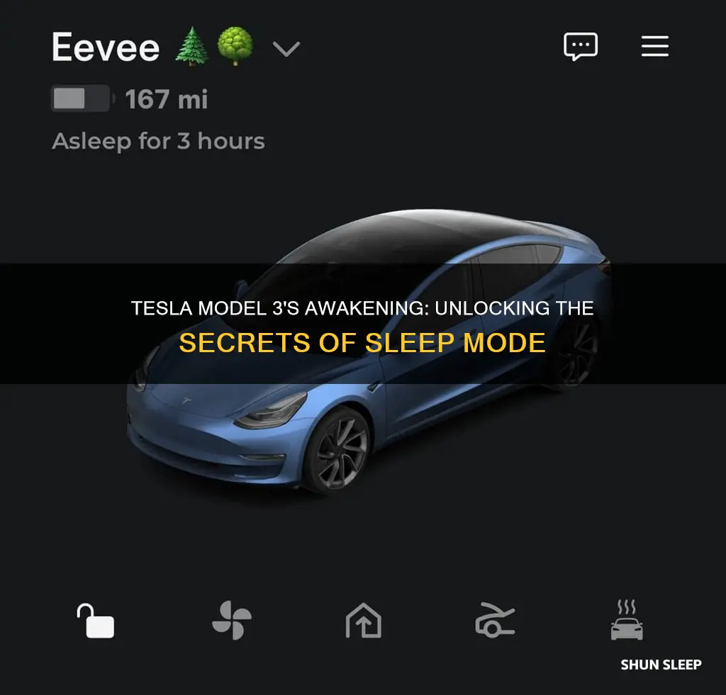 what events wake tesla model 3 from sleep