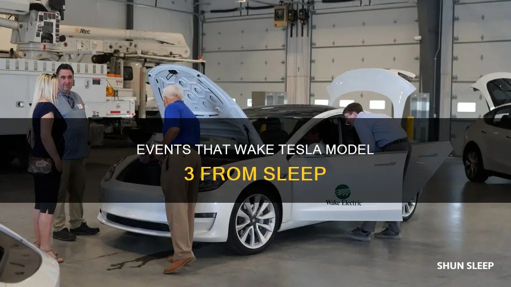 what events wake tesla model 3 from sleep
