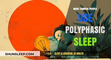 Famous Folks Who Adopt Polyphasic Sleep