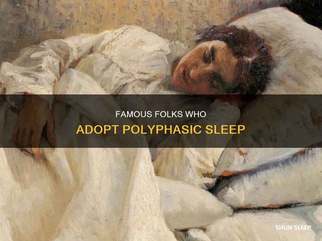 what famous people use polyphasic sleep