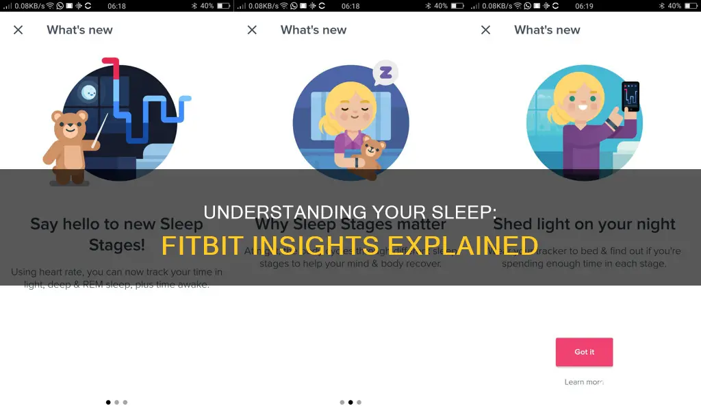 what fitbit sleep means