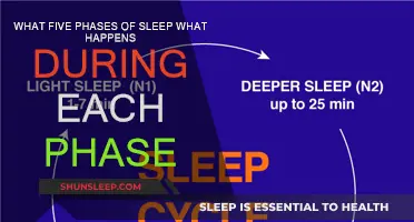 Sleep Phases: 5 Stages, What Happens in Each?