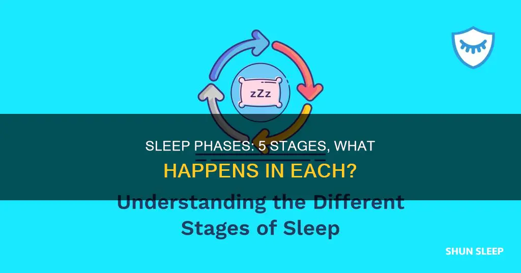 what five phases of sleep what happens during each phase
