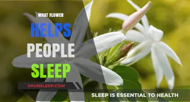 Discover the Soothing Power of Jasmine for Better Sleep