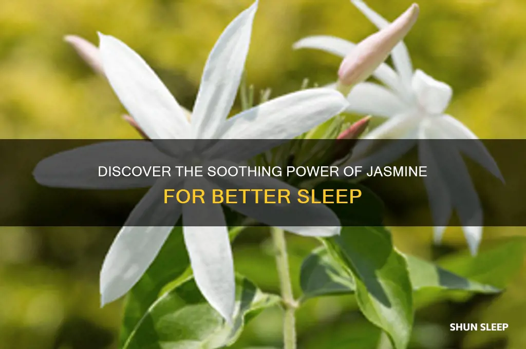 what flower helps people sleep