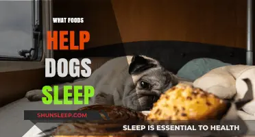 Natural Sleep Aids: Foods to Help Your Dog Sleep Better