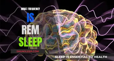 REM Sleep: Brain Waves and Frequency Range Explained