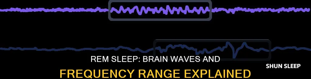 what frequency is rem sleep