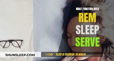 Understanding REM Sleep: Its Vital Functions and Benefits