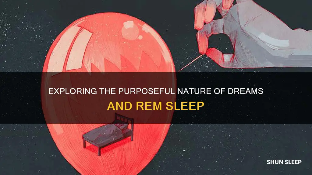 what functions do dreams or rem sleep serve for us