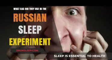 The Gas Used in the Infamous Russian Sleep Experiment
