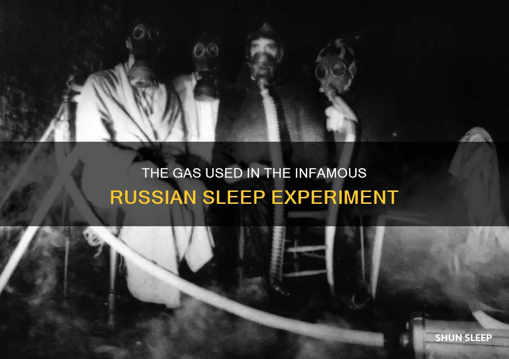 what gas did they use in the russian sleep experiment