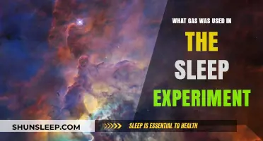 The Sleep Experiment: Gas and its Effects
