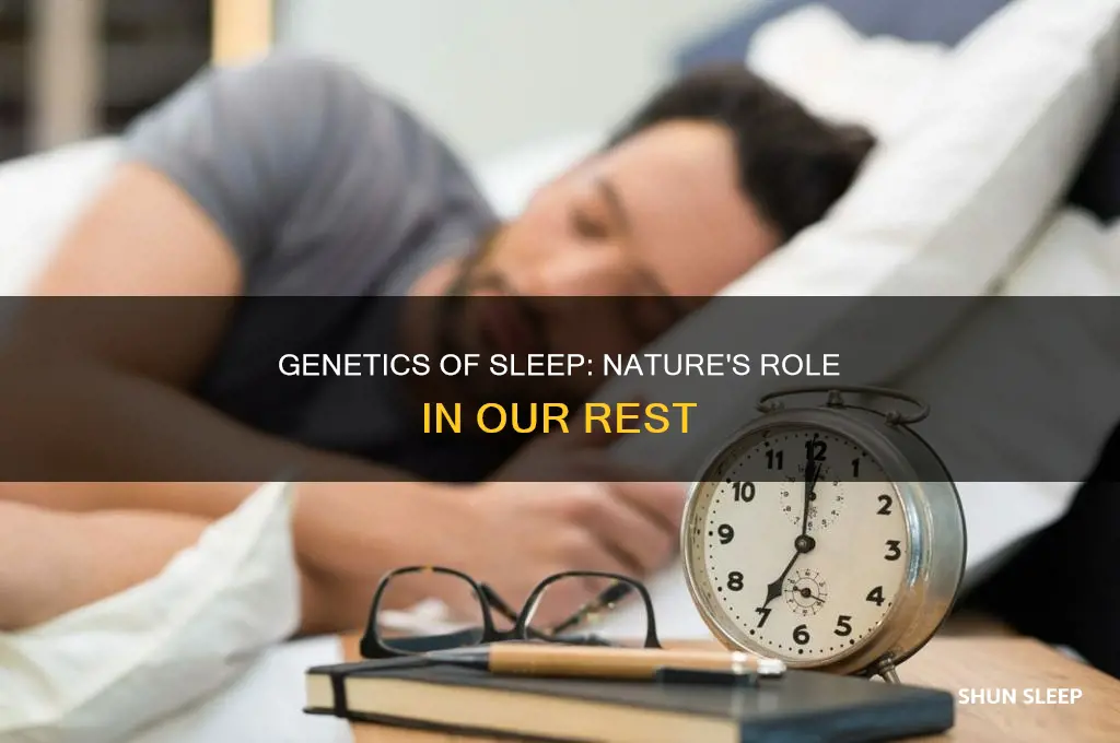 what genetic factors influence the amount of sleep we need