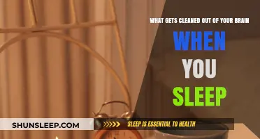Sleep's Secret Cleanup: How Your Brain Detoxes While You Rest