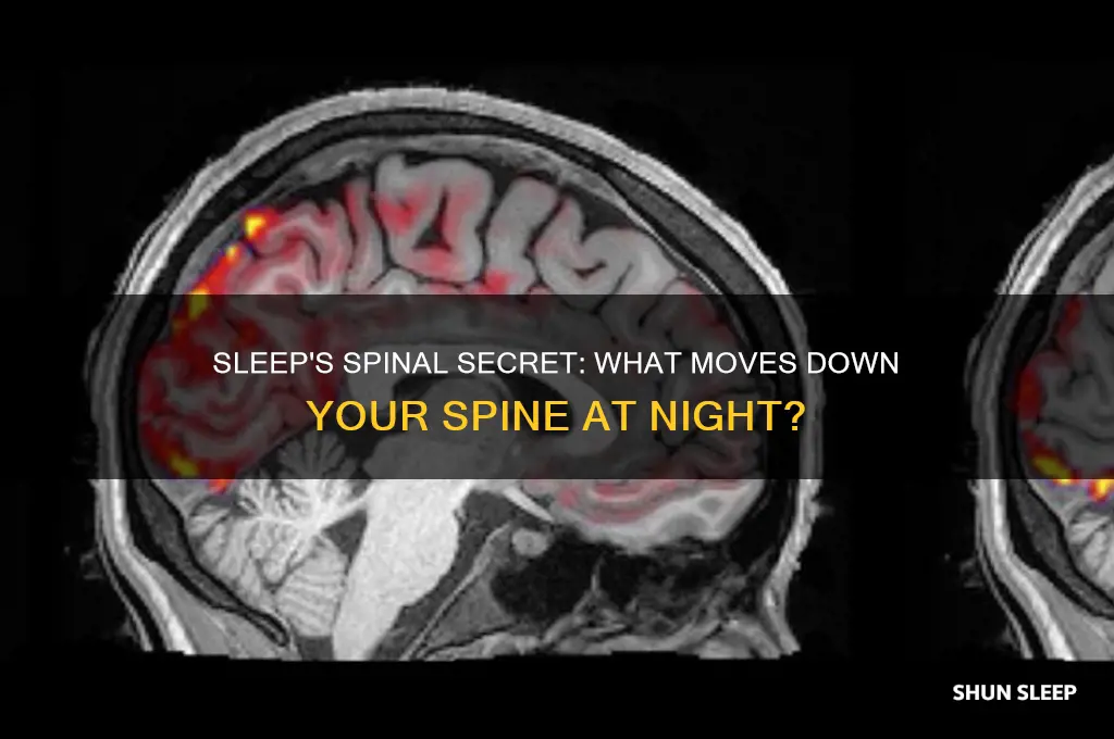 what gets pushed down spinal cord during sleep