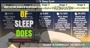 Sleep Interrupted: How Waking Up at Different Stages Affects You