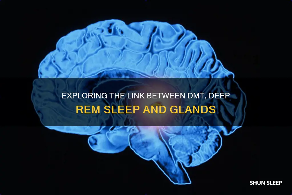 what gland creates dmt and deep rem sleep