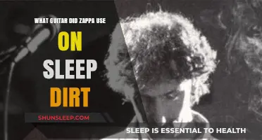 Zappa's Sleep Dirt Guitar Gear: What's the Story?