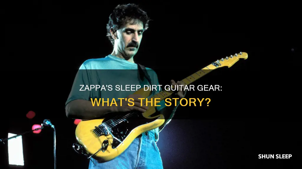 what guitar did zappa use on sleep dirt