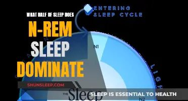 N-REM Sleep: The Unconscious Half of Our Sleep Cycle