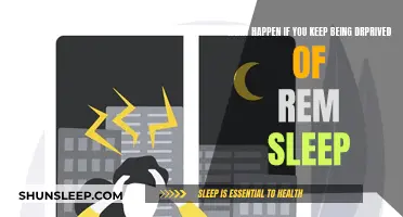 The Dark Side of REM Sleep Deprivation