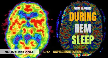 Exploring the Intricacies of REM Sleep Science