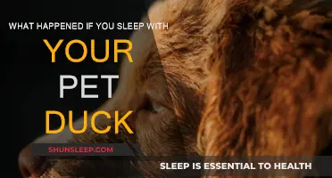 Cozy Quacks: Sleeping with Your Pet Duck