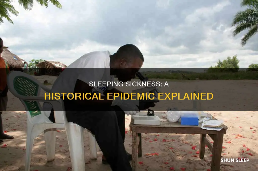 what happened in sleeping sickness