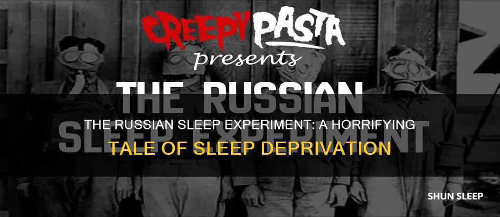 what happened in the russian sleep experiment