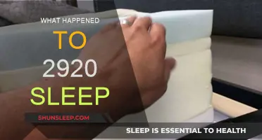 Sleep's Evolution: 2920's Disappearance and Our Changing Habits
