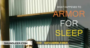 Armor for Sleep: Where Are They Now?