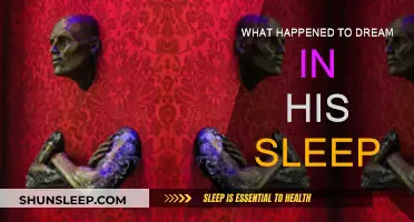 Dream's Sleep: What Happened and Why?