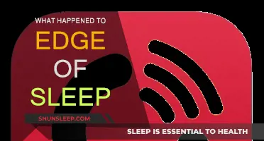 The Mystery of 'Edge of Sleep': What Went Wrong?