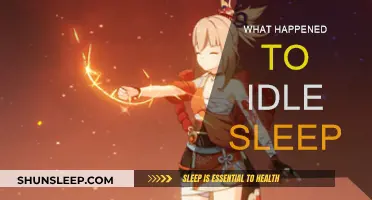 The Sudden Disappearance of Idle Sleep: What Went Wrong?