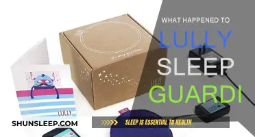 The Mystery of Lully Sleep Guardian's Disappearance