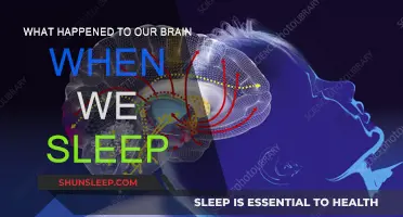 Brain Activity: Sleep and its Mysteries